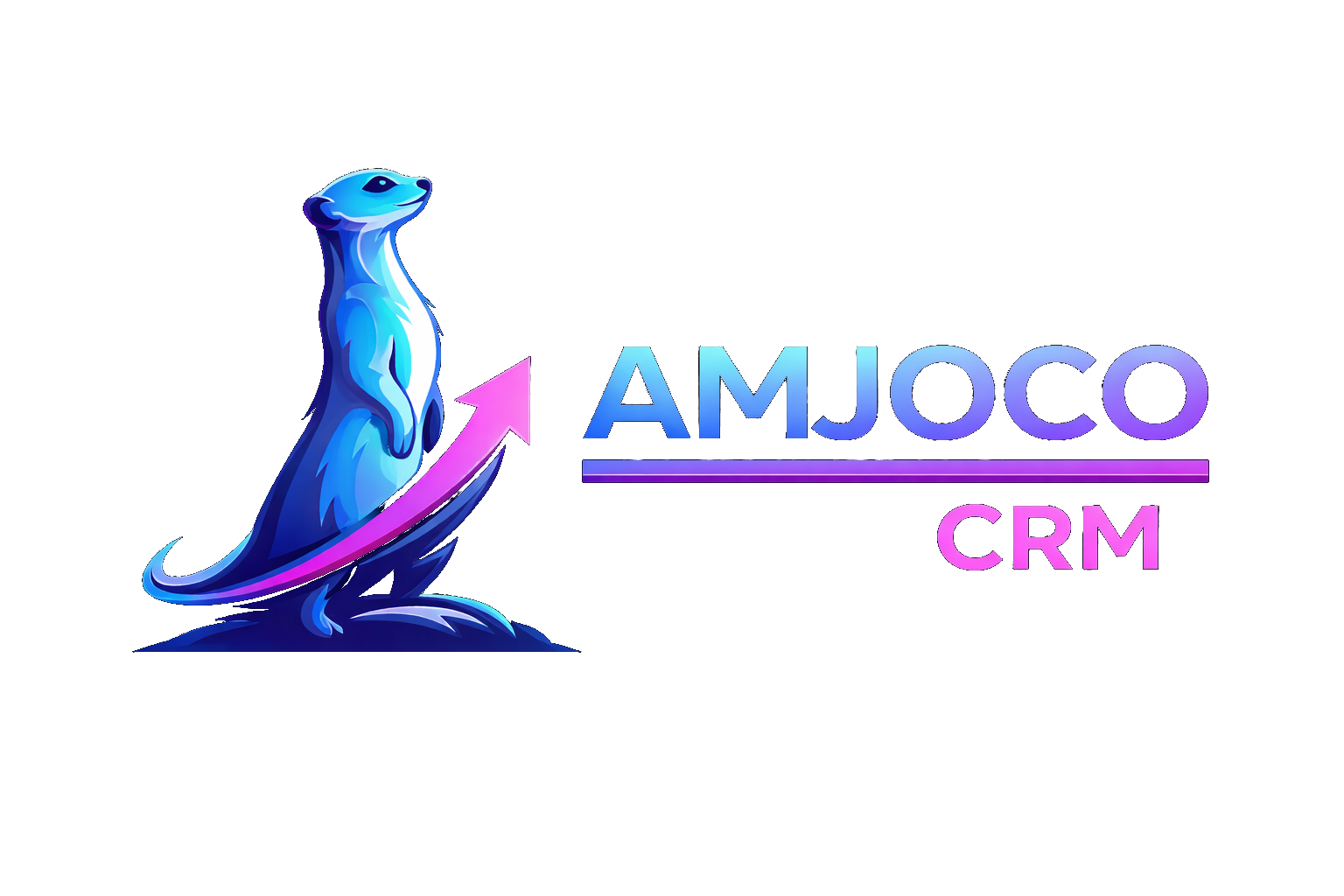 AMJOCO CRM